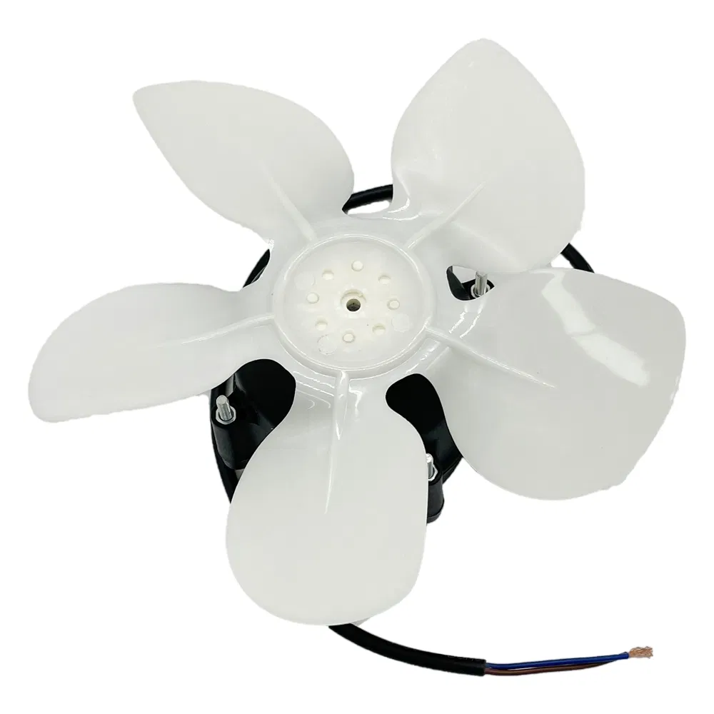 Motor detail 6