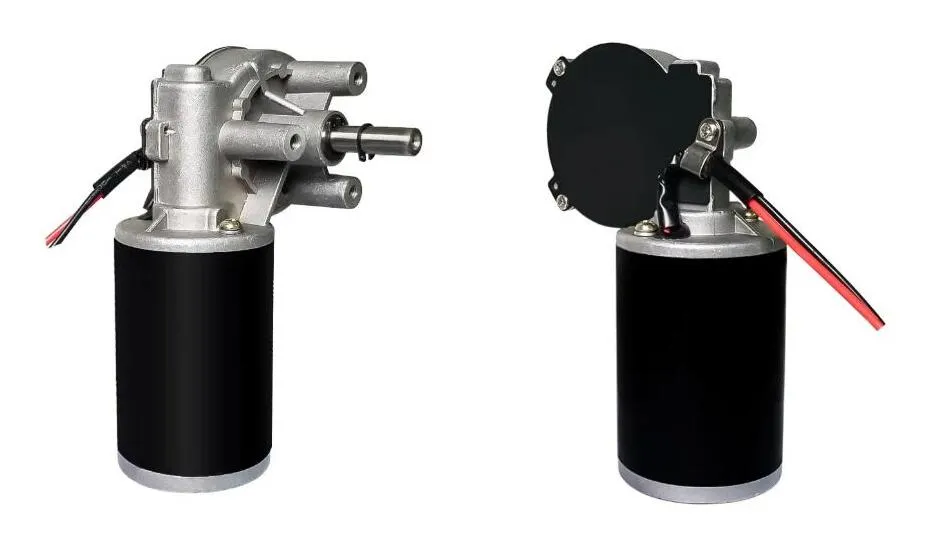 Worm Gear Motor Specifications