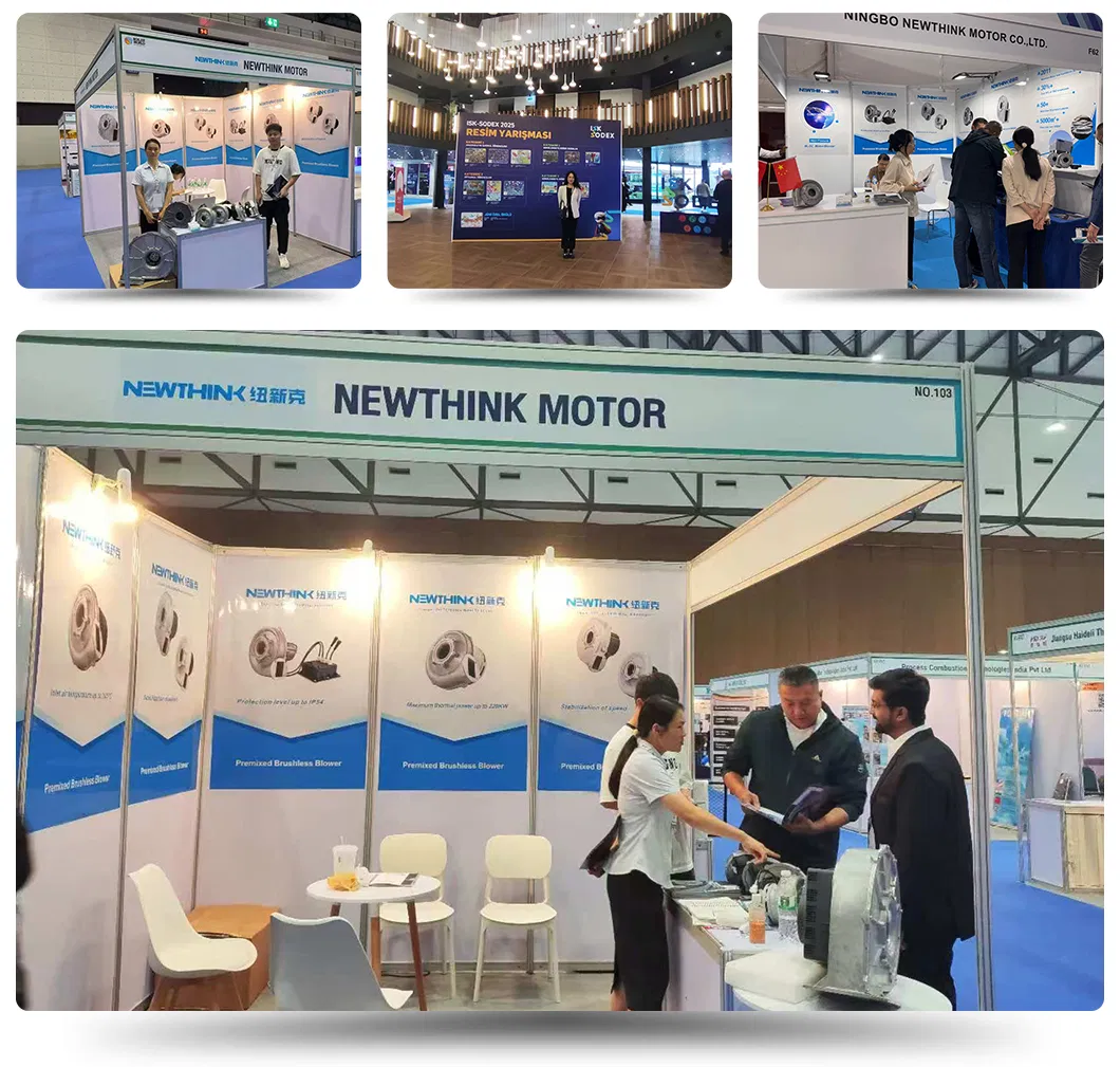 Exhibition History