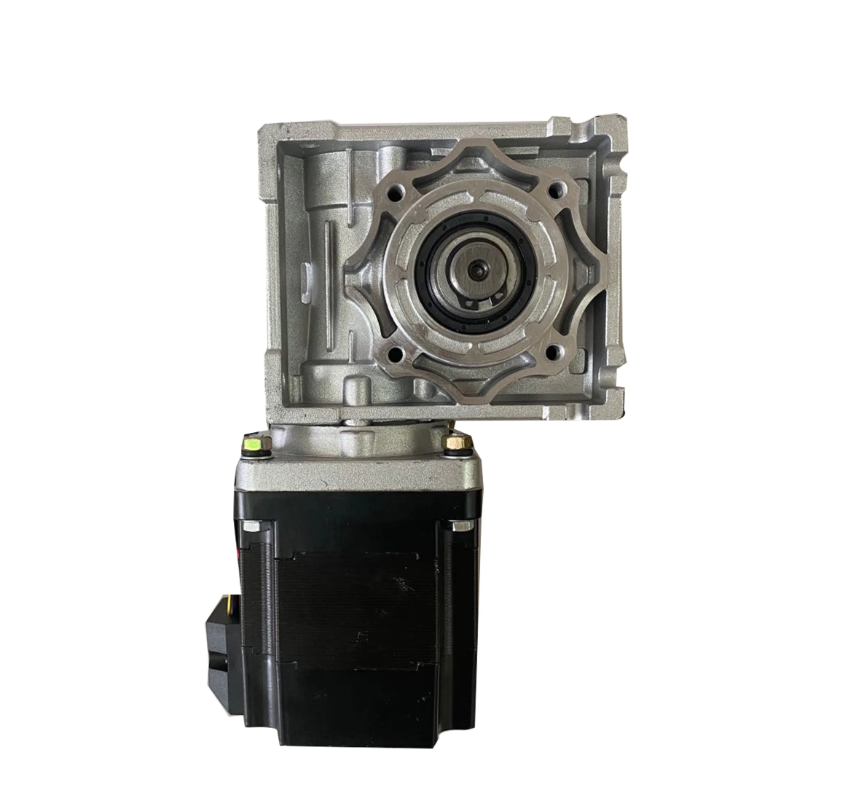 12V 24V 48V Rated Volt 3000rpm BLDC Worm Gear Motor for Home Appliance and Cosmetic Instrument Machine Motor Factory