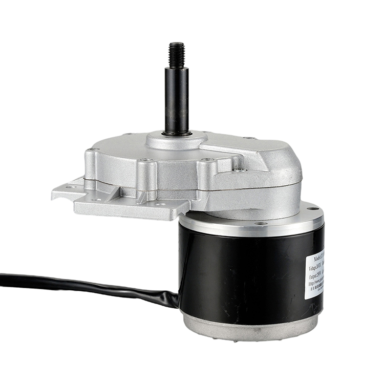 CE Certified ZY1016LZ 24V 250W Brushed DC Gear Motor High Torque for Wheelchair Electric Bicycle Fan Lawn Mower