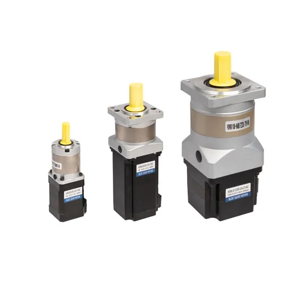Planetary Brushless Motor