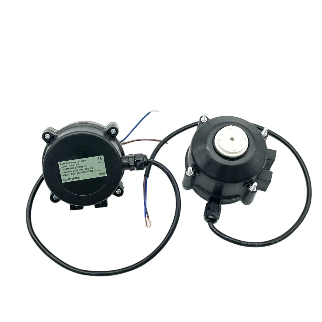 Motor detail 3