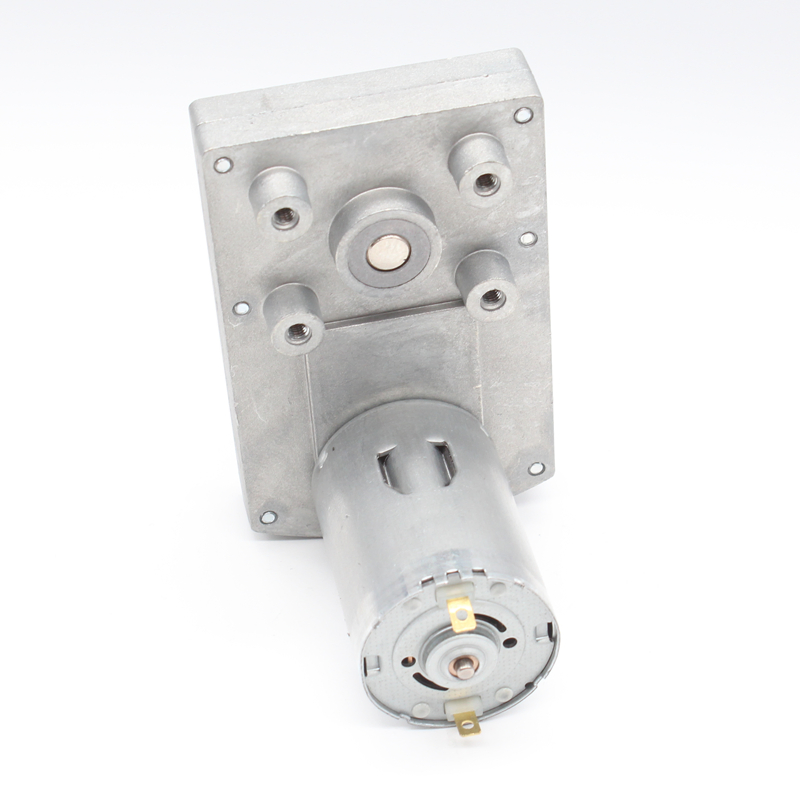 Brushed High Quality Low Rpm DC Spur Gear Motor