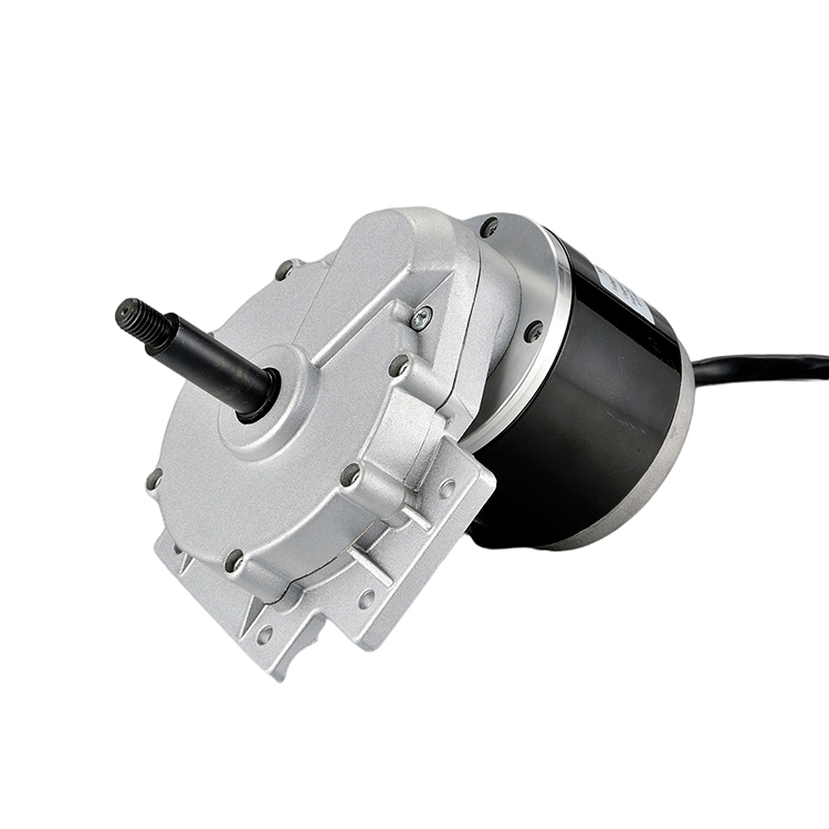 CE Certified ZY1016LZ 24V 250W Brushed DC Gear Motor High Torque for Wheelchair Electric Bicycle Fan Lawn Mower