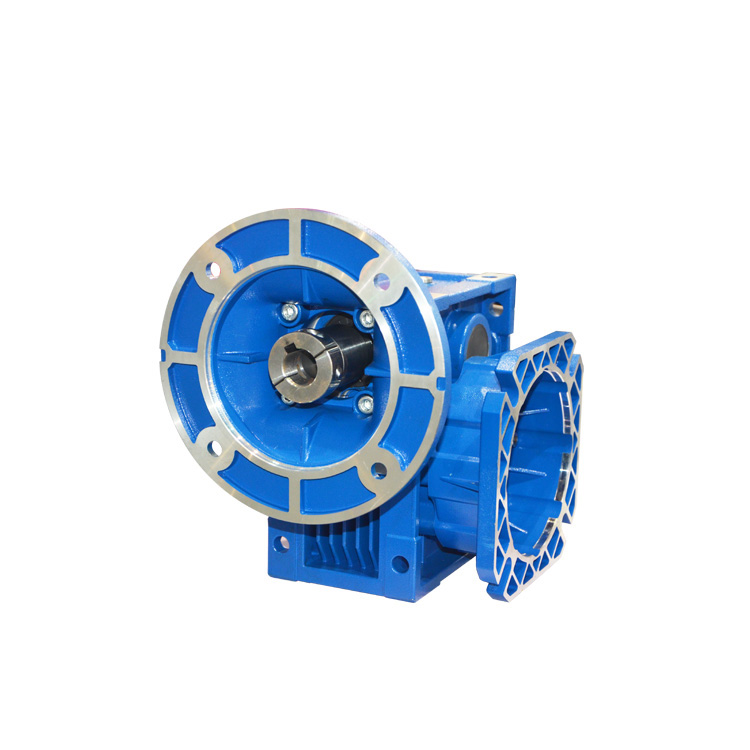 High Quality Double Worm Gear Speed Reducer With Electric Motor