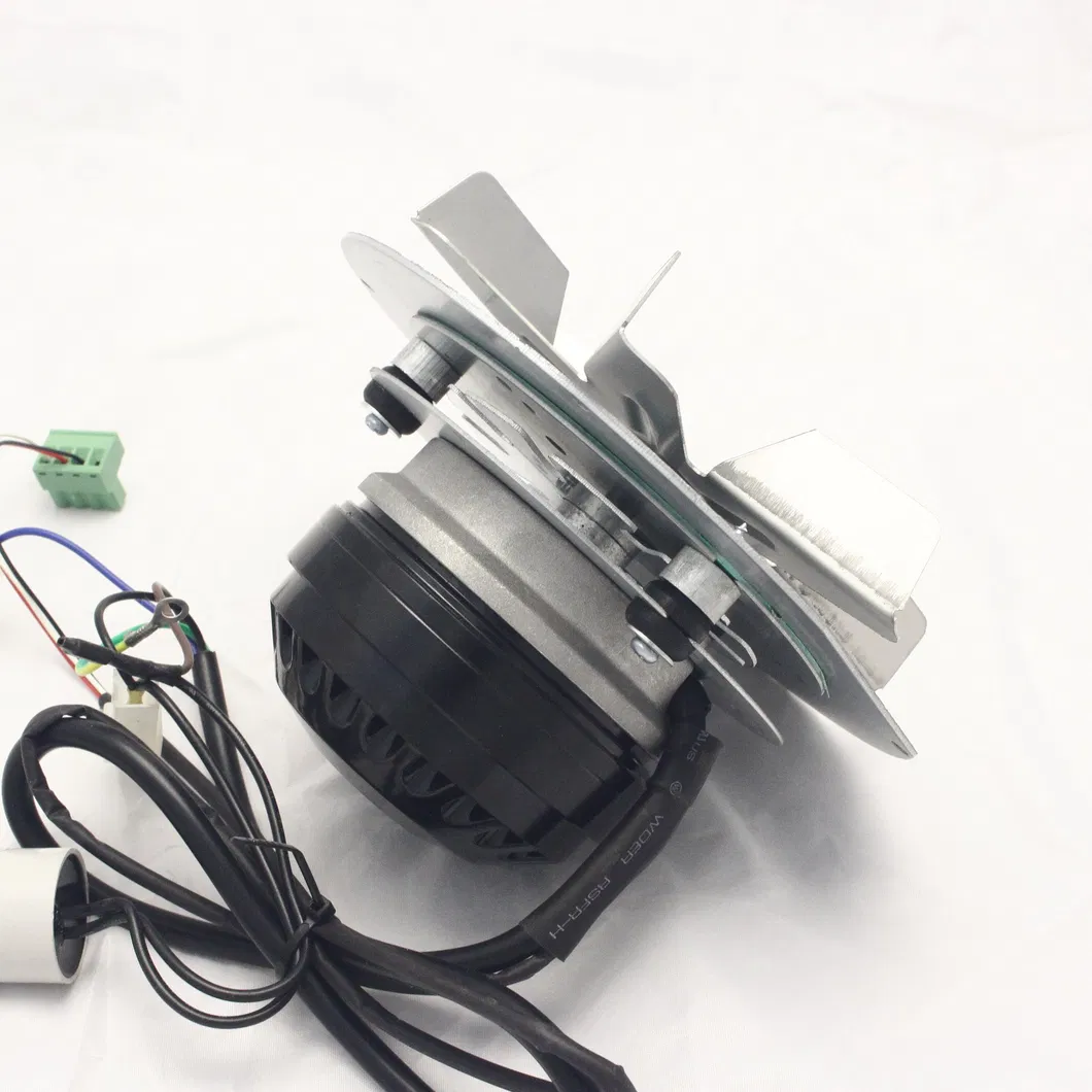 External Rotor Motor 6