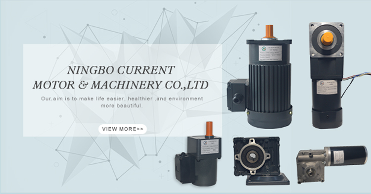 PM DC Electric Motor
