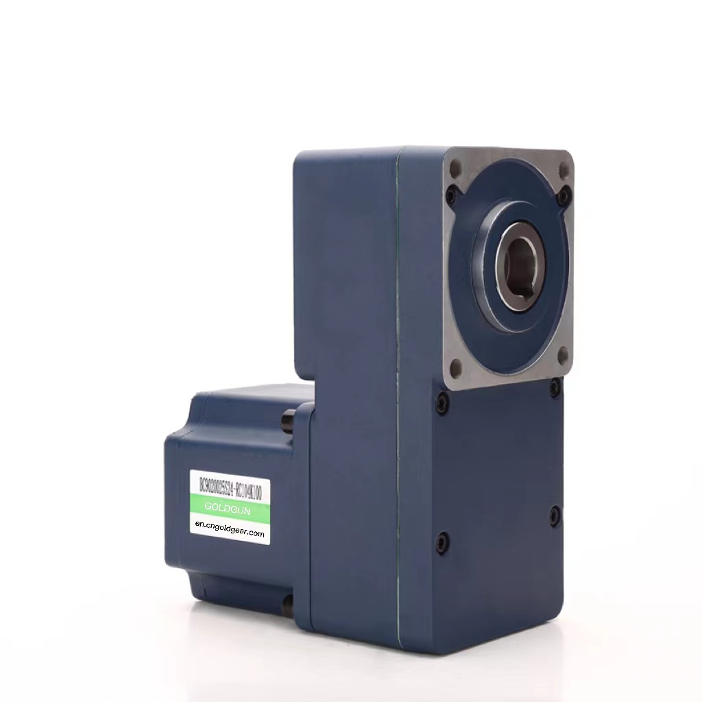 Electric DC Motor 100w 240w 500w 750w 800w 1500w 1.1kw Watts 2kw 12V 24V 30v 110v 300V 500V Volt 5hp DC Brushless Gear Motor