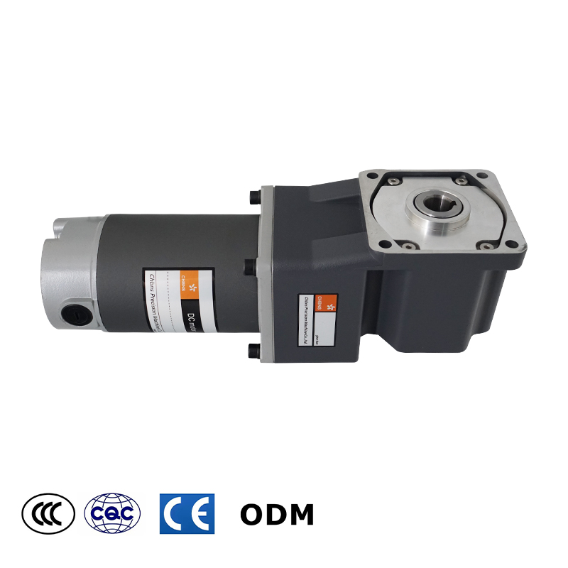 40W 60W 90W120W 180W 200W 250W High Torque Permanent Magnet 12V 24V Brush DC Electric Gear Motor