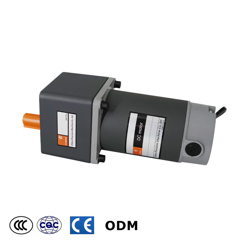 40W 60W 90W120W 180W 200W 250W High Torque Permanent Magnet 12V 24V Brush DC Electric Gear Motor