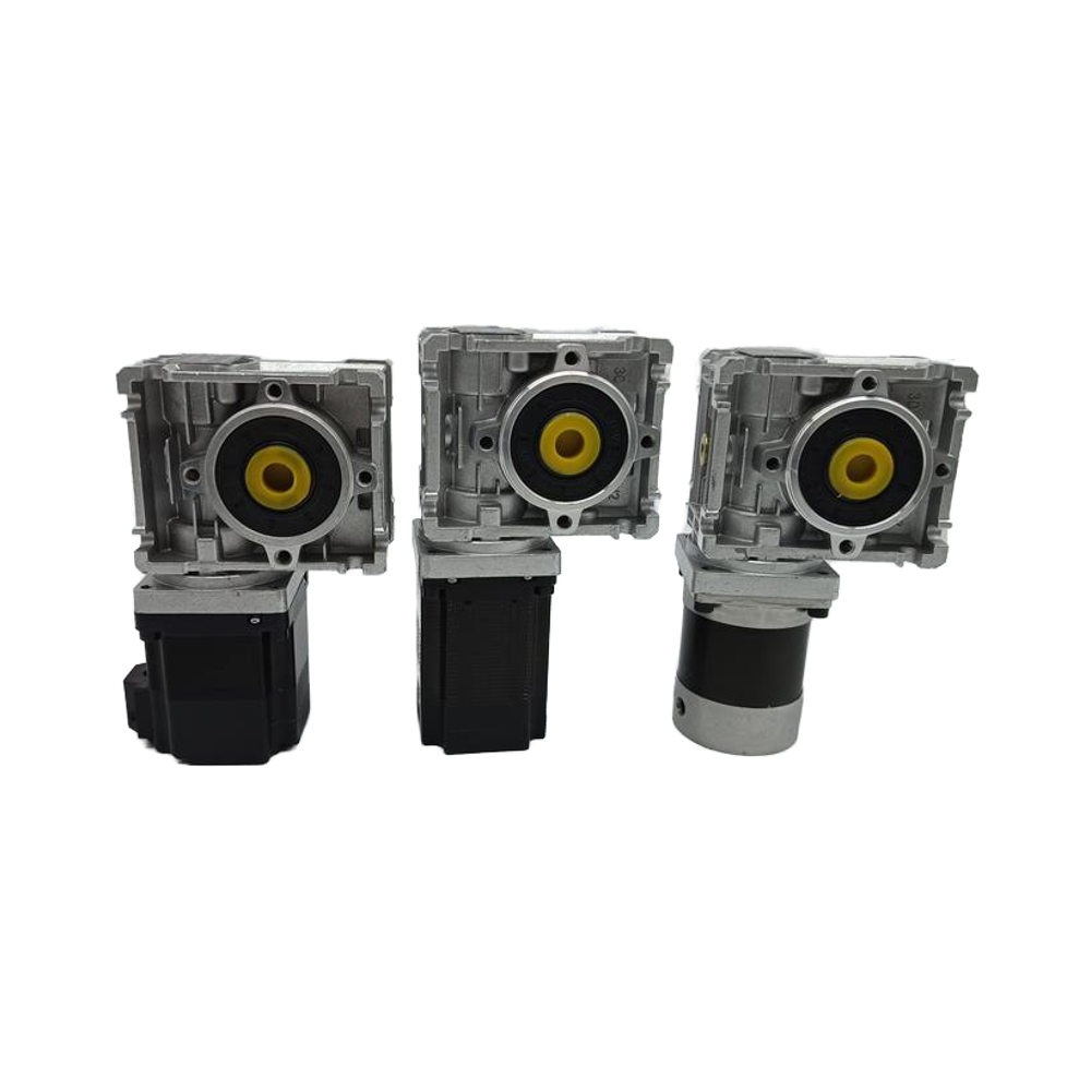High Torque 24V 60W 120W 200W 250W Brushless DC Worm Gear Motor RV Self-locking for Lawn Mower