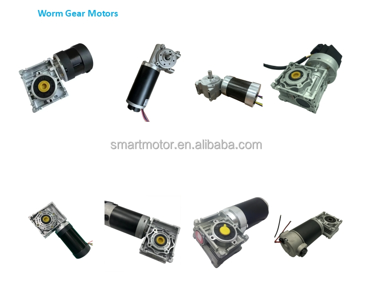 DC Worm Gear Motor Overview