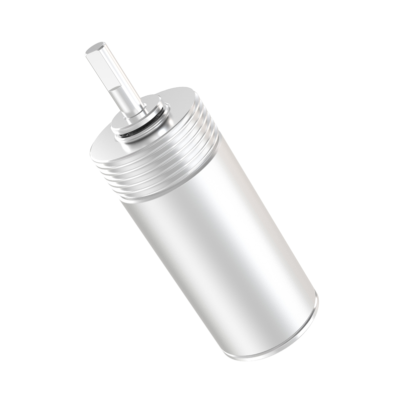 Customized 8mm 12mm 14mm 16mm 20mm 22mm 24mm 28mm 32mm 36mm 42mm Dc 3v 12v 24v High Precision Planetary Gear Motor Reducer