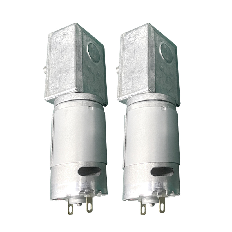 Futeng Factory 24v Dc Electric Motor Manufacturer 12 Volt Dc Worm Gear Motor For Medical Pumps Sphygmomanometers