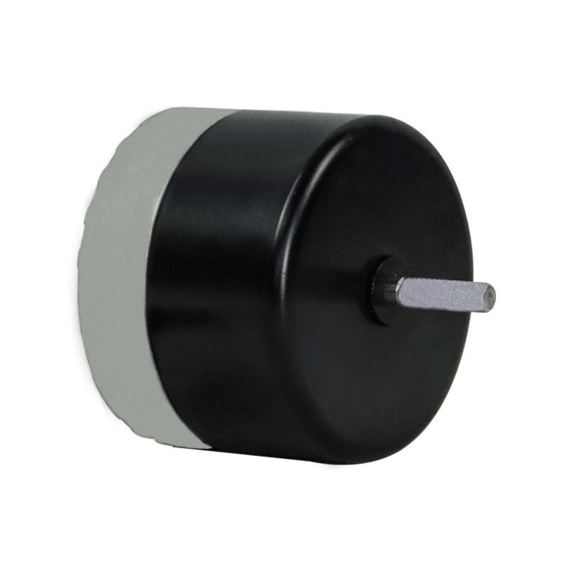 High Efficient Brushless DC Coreless Motor for Electronic Water Pump