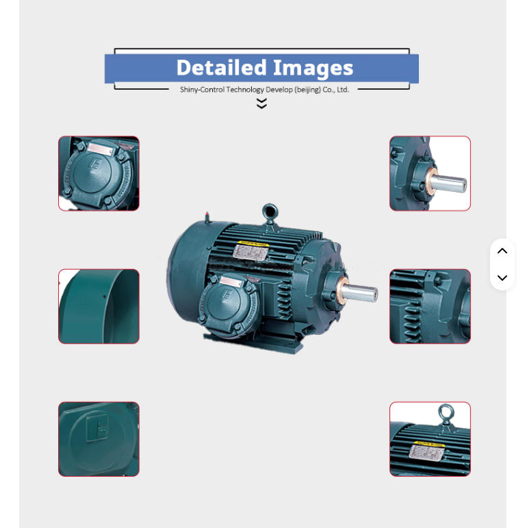 MID Drive Servo Brushless Hand Crank Motorized for Lifting Screw AC M3bp250SMA4 55*4 Motor Kit Manufacturer Electric Motors
