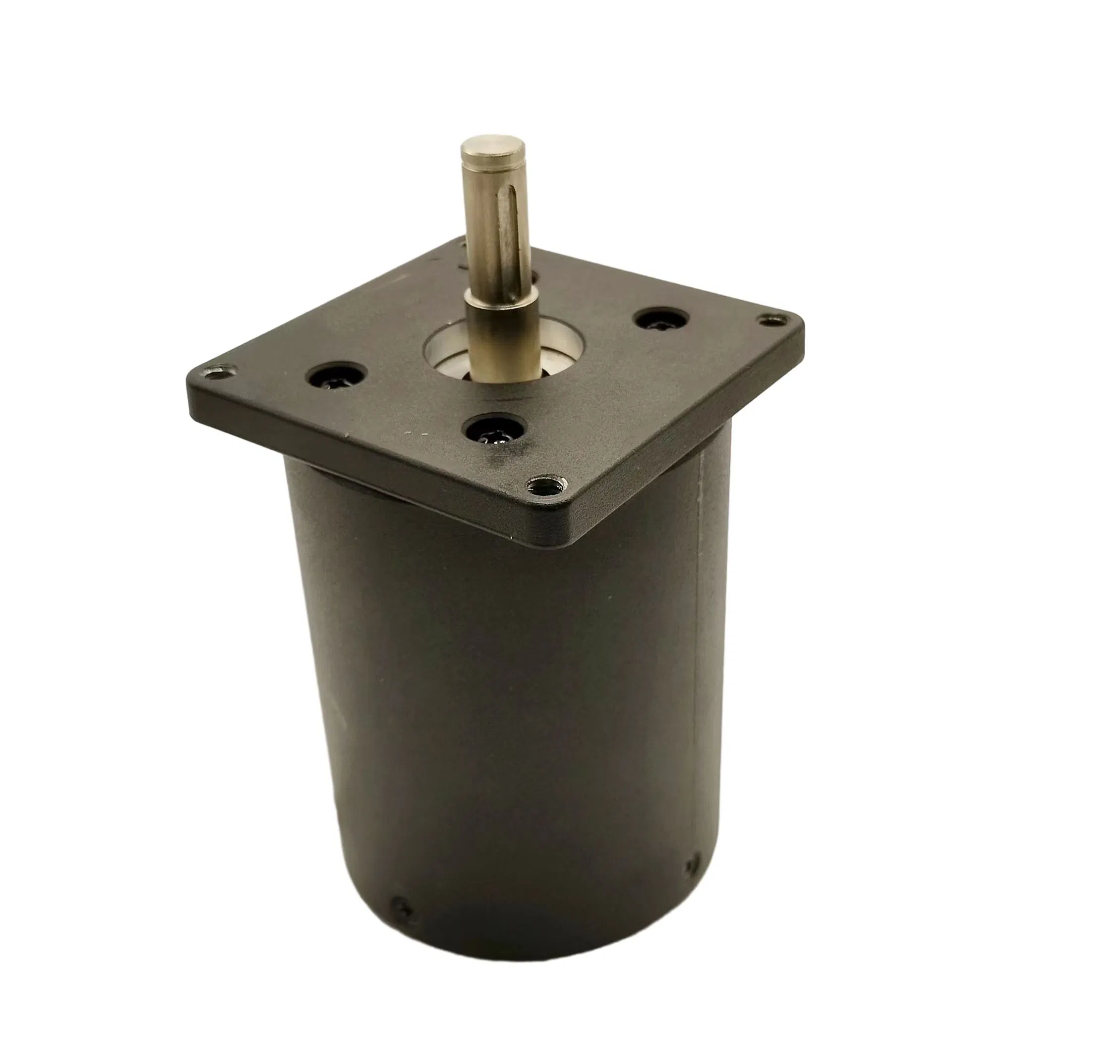 110V 120V 220V High Performance High Torque Micro Motor Electrical BLDC Brushless Motor DC AC Electric Bike for Chopper Blender/Mixer/Grinder Machine/Bicycle