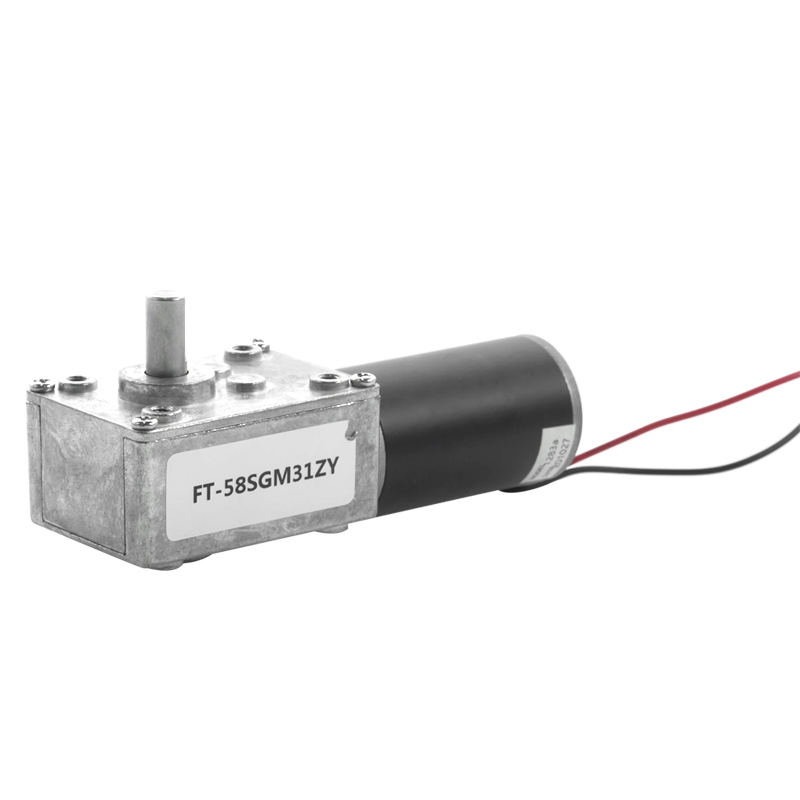 Futeng Factory 5840 12v High Torque Dc Geared Motors 24v Micro Worm Gear Motor