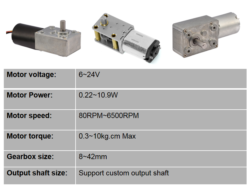 DC Worm Gear Motor