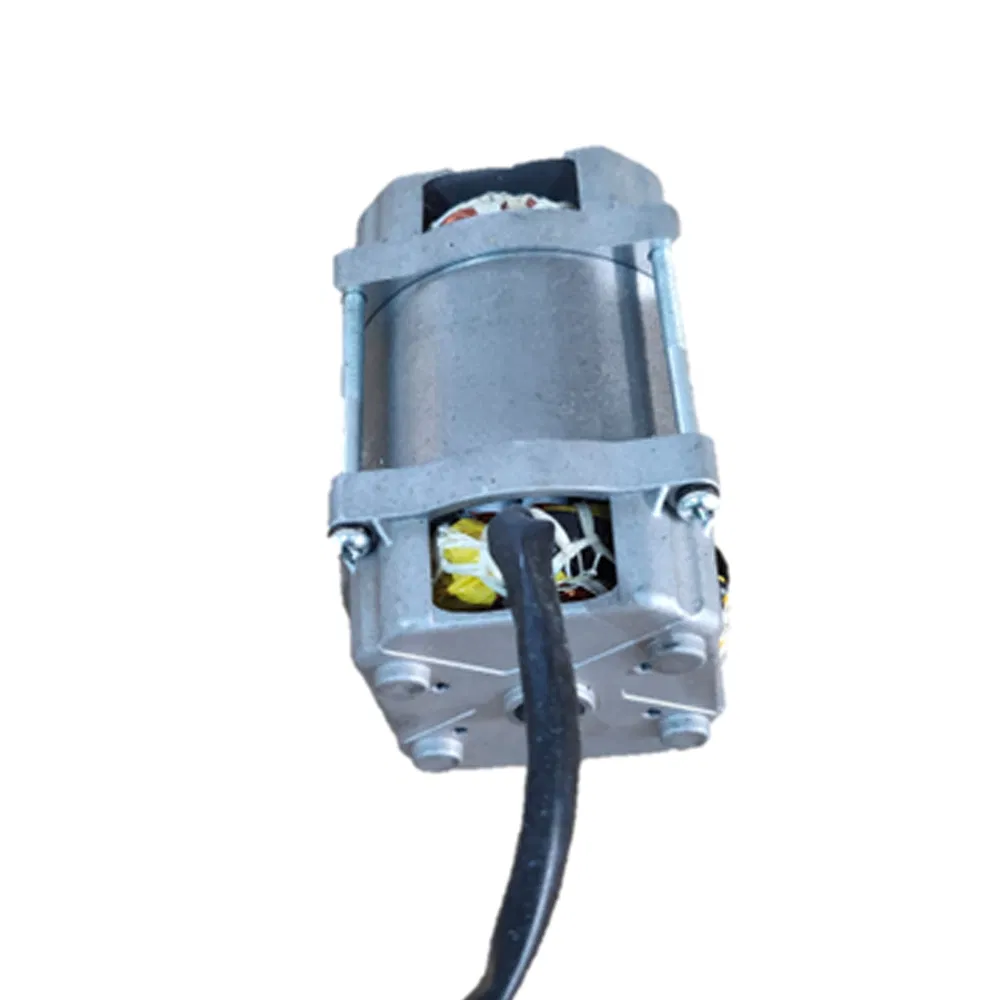 Motor Photo 1