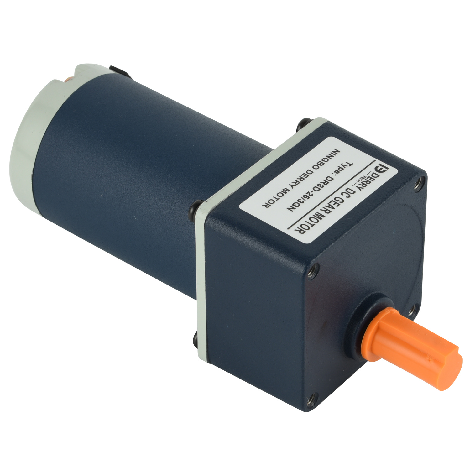 Customizable 12V/24V/48V/90V/220V DC2GN Small Dc Gear Motor with 6W/10W/15W/20W Capacity Permanent Magnet Brush