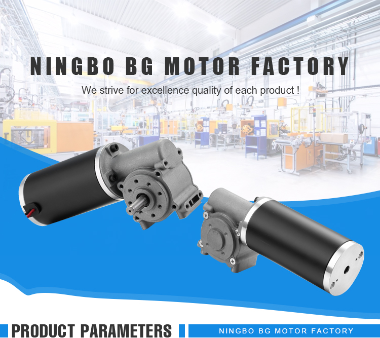Brushed Dc Worm Geared Motor