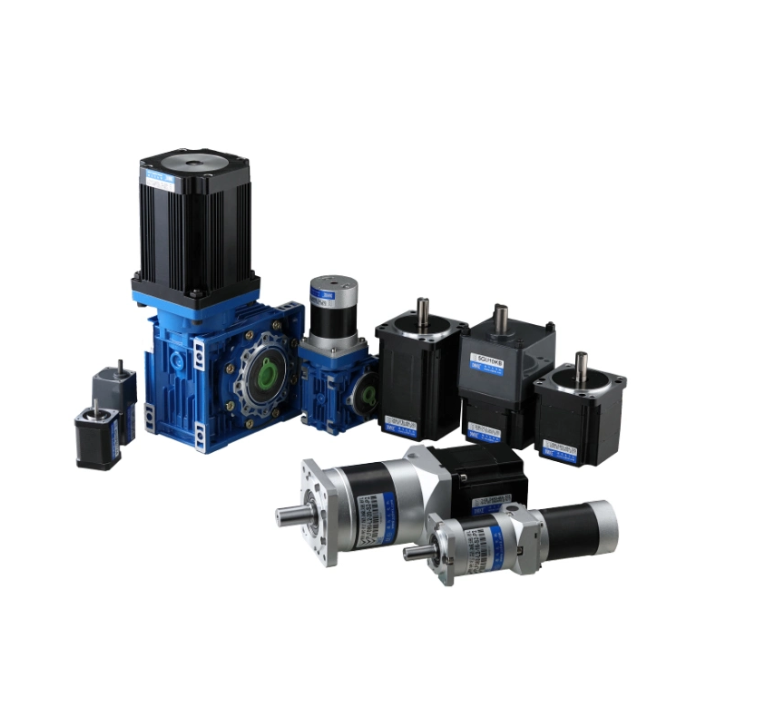 12V 24V 48V Rated Volt 3000rpm BLDC Worm Gear Motor for Home Appliance and Cosmetic Instrument Machine Motor Factory