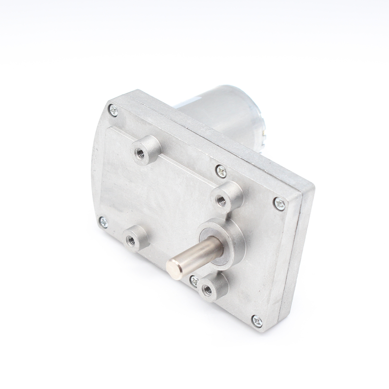 Brushed High Quality Low Rpm DC Spur Gear Motor