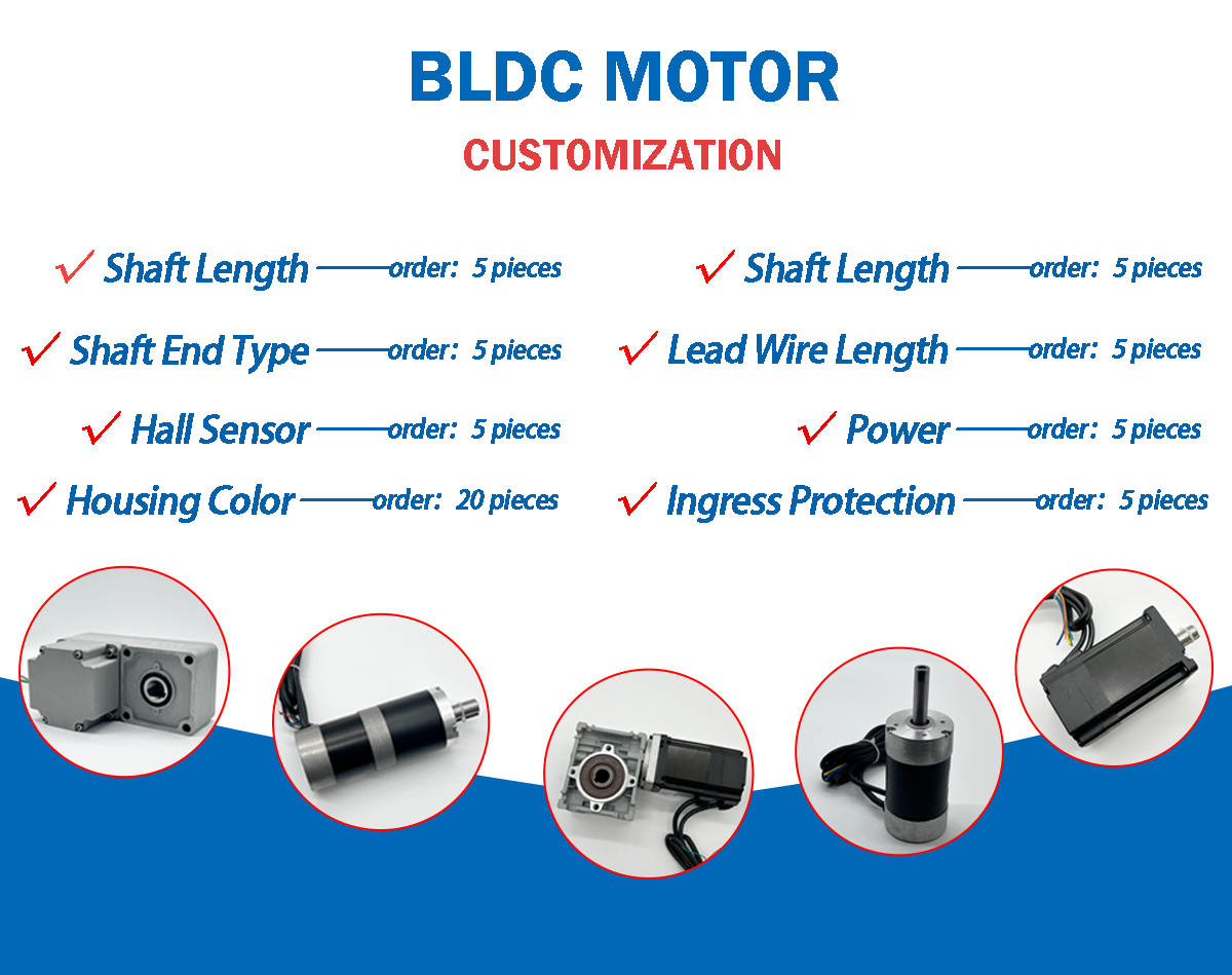 Customized Brushless DC Motor