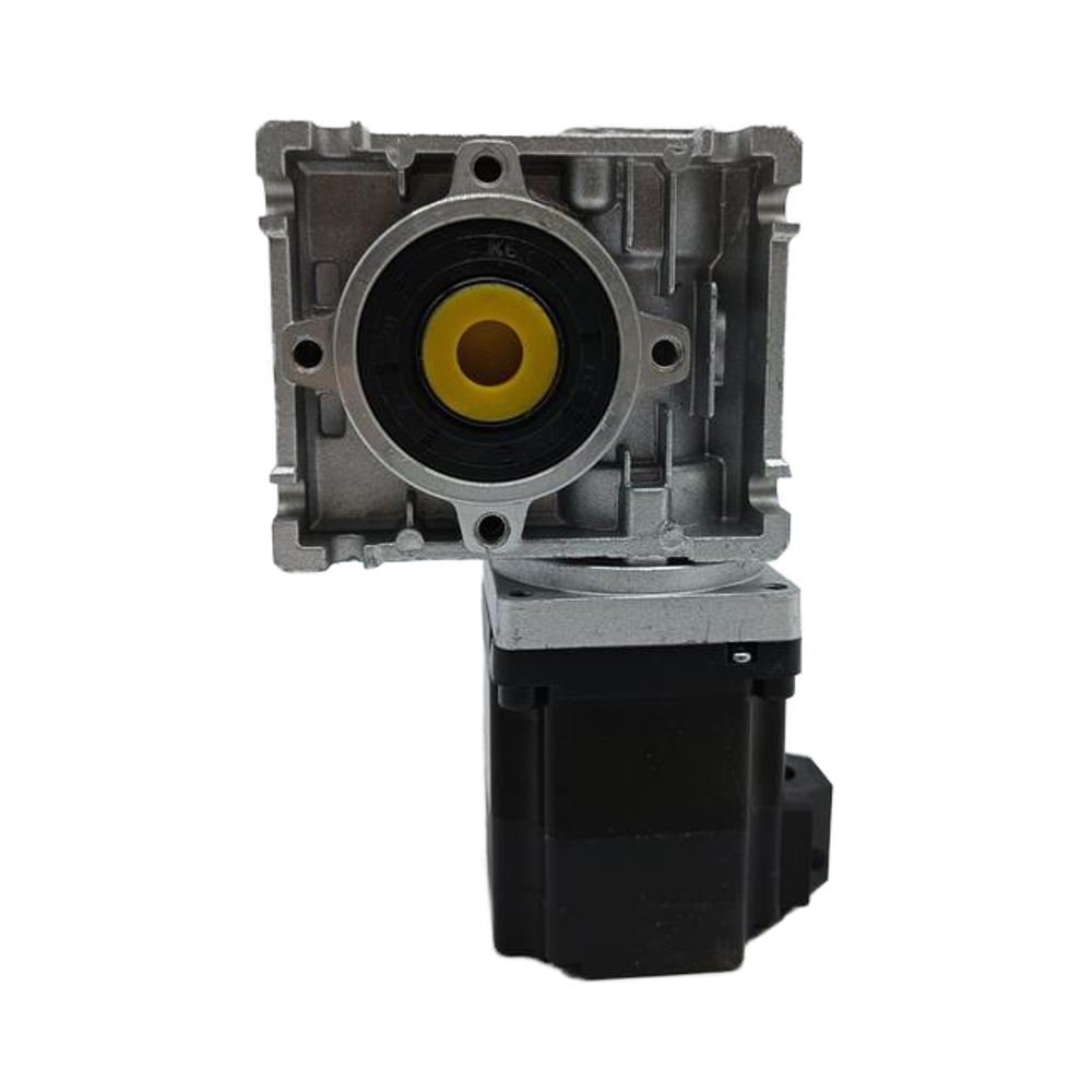 High Torque 24V 100W 200W 300W 400W Brushless DC Worm Gear Motor RV Self-locking For Lawn Mower