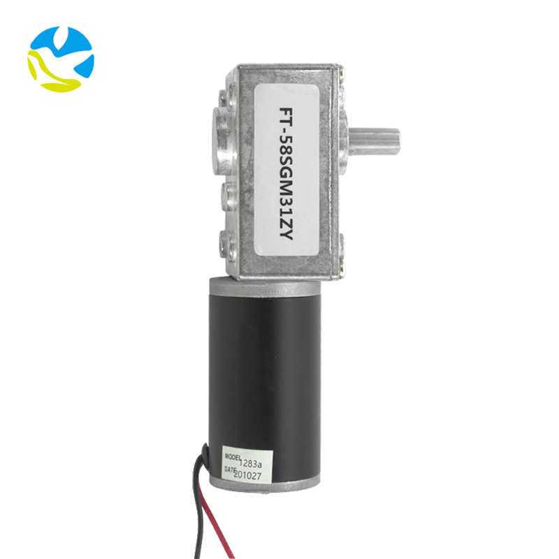 Futeng Factory 5840 12v High Torque Dc Geared Motors 24v Micro Worm Gear Motor