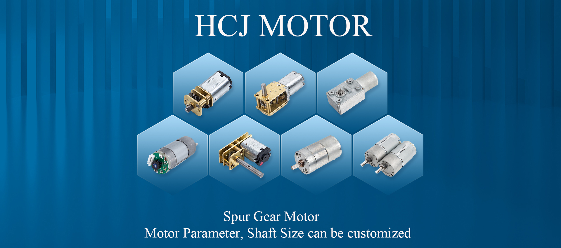 DC Worm Gear Motor