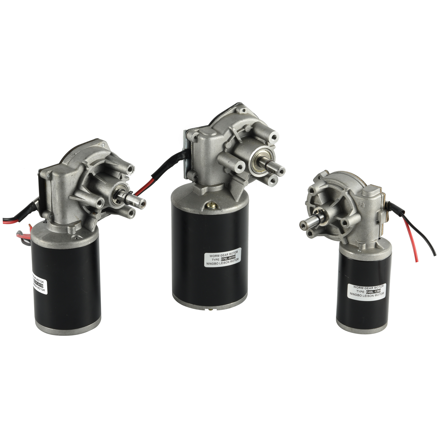 DC Worm Gear Motor View 1