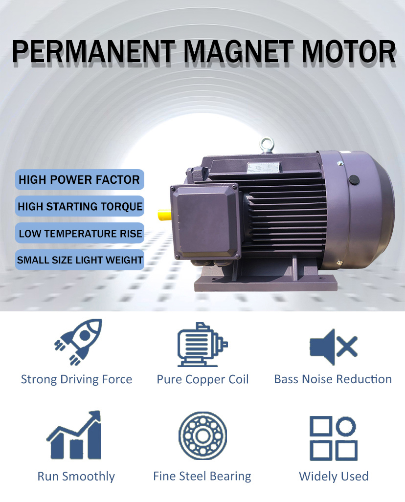 Permanent Magnet Motor
