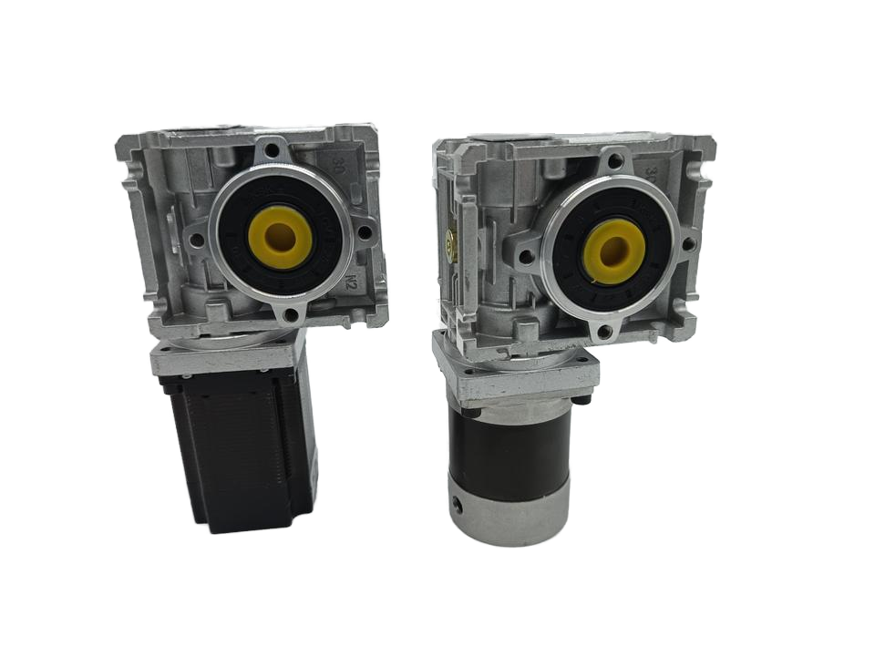High Torque 24V 100W 200W 300W 400W Brushless DC Worm Gear Motor RV Self-locking For Lawn Mower