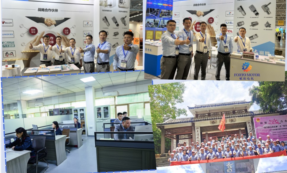 Company Team