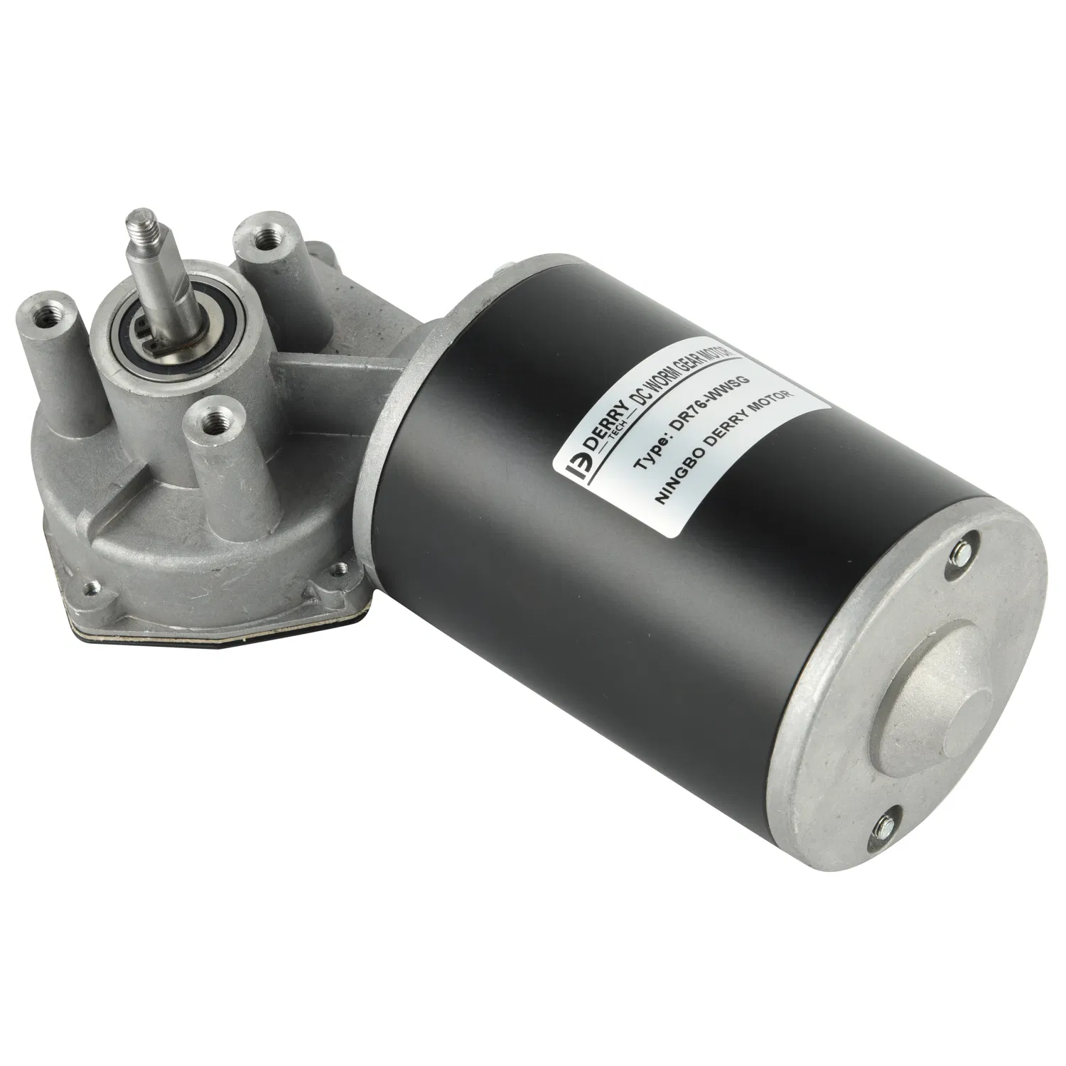 63mm 76mm High Torque Low Speed 80W DC AC Brushless BLDC Electrical Worm Gear Motor