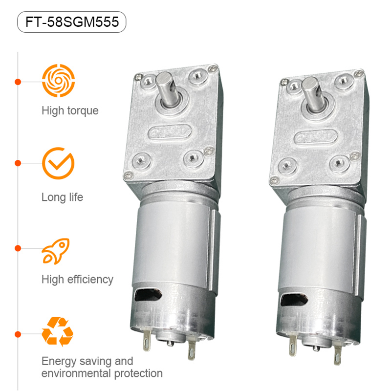 Futeng Factory 24v Dc Electric Motor Manufacturer 12 Volt Dc Worm Gear Motor For Medical Pumps Sphygmomanometers