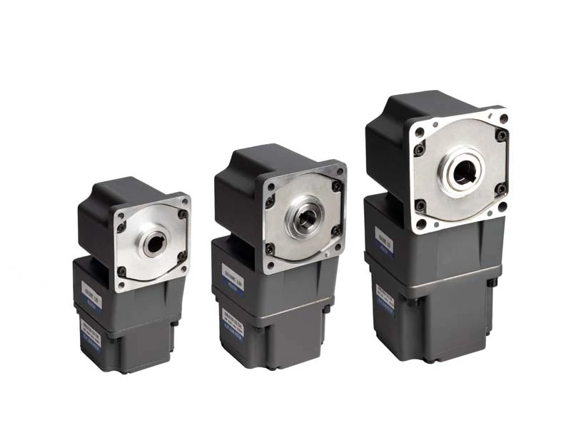 60mm 80mm 90mm 104mm 24V 110VAC 220VAC 60W 120W 200W 400W 750W Hollow Shaft Brushless DC Gear Motor With Speed Controller