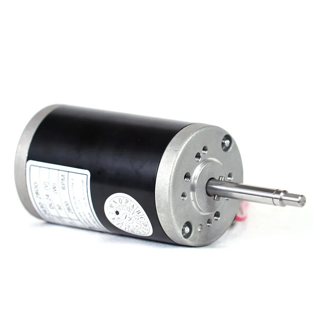 PMDC Brushed Electrical Micro Coreless DC Motor for Electric Vehicle