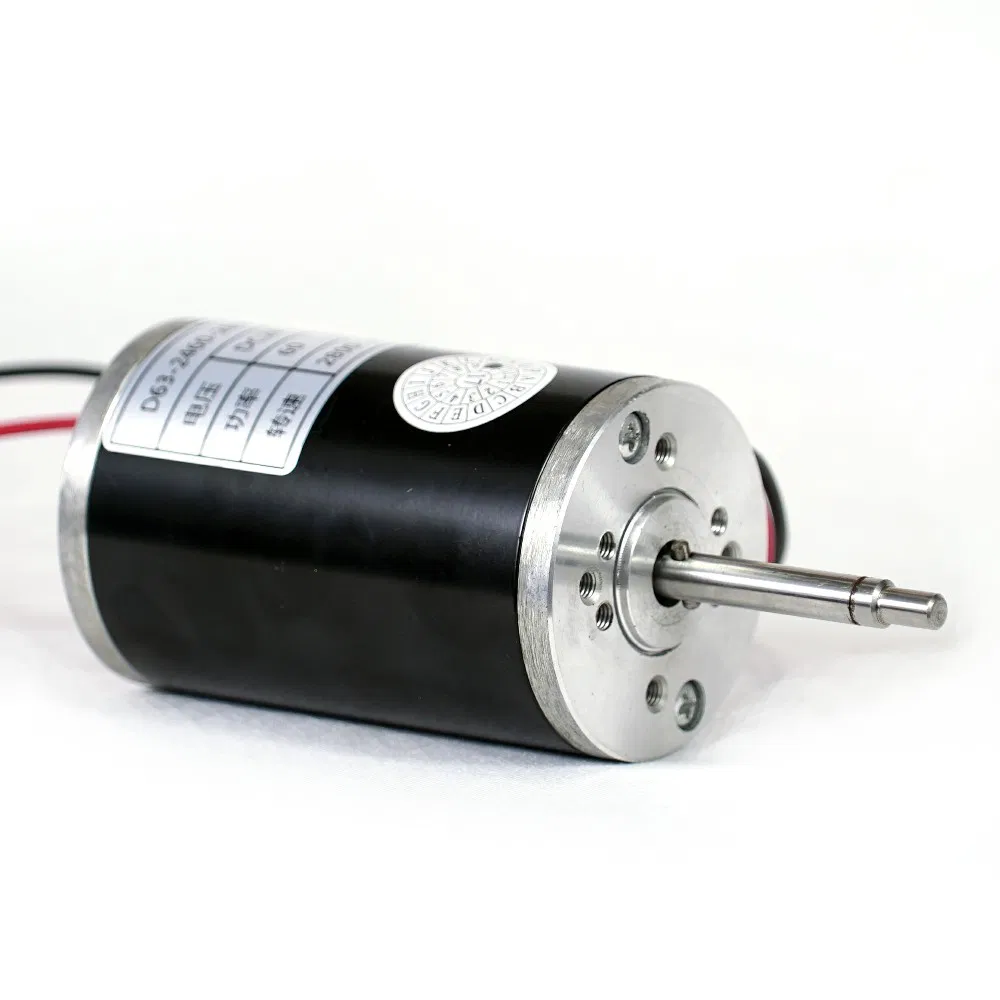 PMDC Brushed Electrical Micro Coreless DC Motor for Electric Vehicle