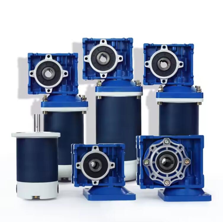 NMRV 12V/24V DC Motor with Worm Reduction Gearbox Nmrv40 RV30 24V DC Brush Motor Permanent Magnet Construction