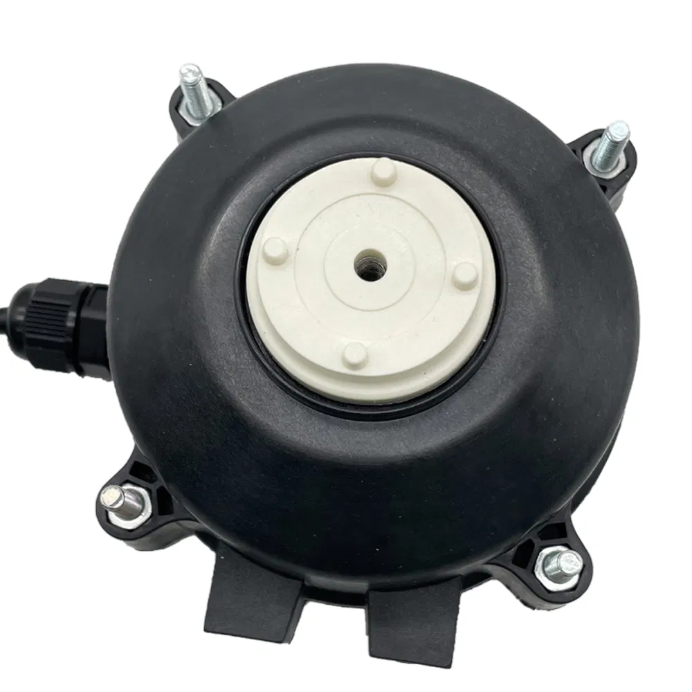Motor detail 2