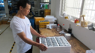 Packaging