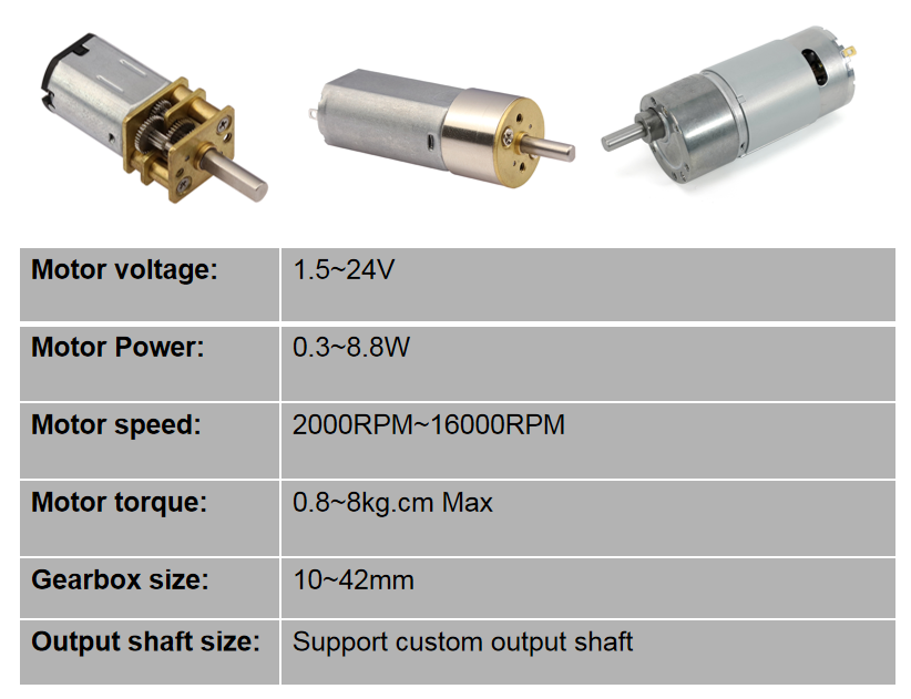DC Spur Gear Motor