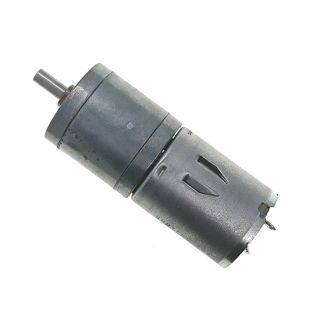 Spur Brushed DC Gearmotor 25mm Diameter 12V 24V Mini Electric DC Gear Motor