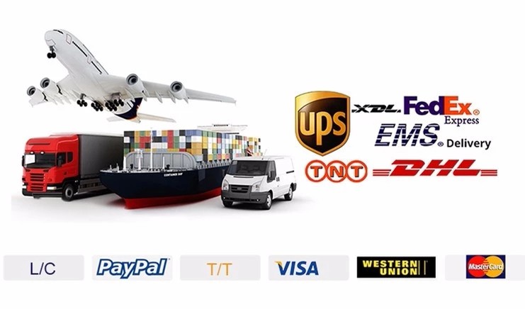 Company Overview
