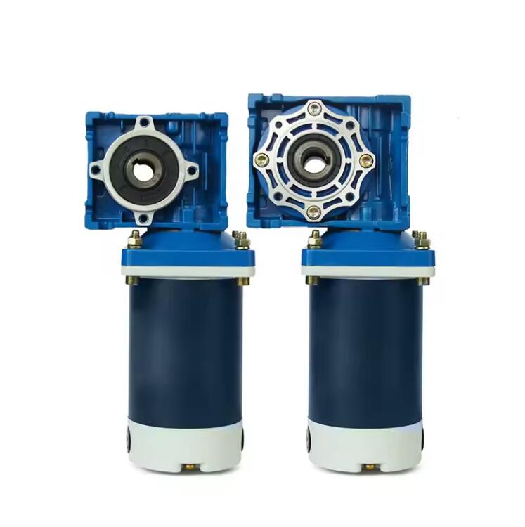 NMRV 12V/24V DC Motor with Worm Reduction Gearbox Nmrv40 RV30 24V DC Brush Motor Permanent Magnet Construction