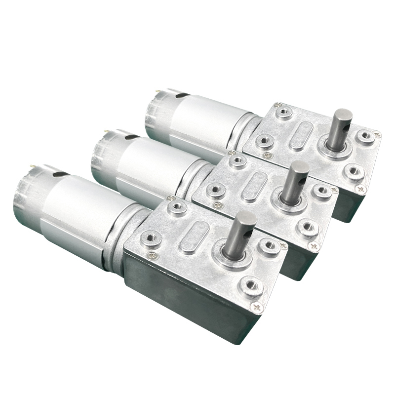 Futeng Factory 24v Dc Electric Motor Manufacturer 12 Volt Dc Worm Gear Motor For Medical Pumps Sphygmomanometers